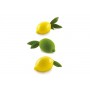 LIMONE & LIME 120