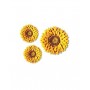 ASSORTIMENTO GIRASOLI PZ 1