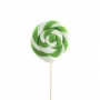 LOLLIPOP LECCA LECCA VERDE PZ 1