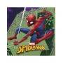 20 TOVAGLIOLI 33X33 SPIDERMAN