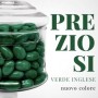 PREZIOSI MARIDA VERDE INGLESE 900 GR