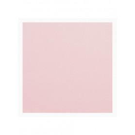 16 TOVAGLIOLI CM 33X33 STAMPA ROSA GERAN