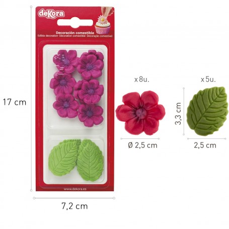 1CF ZUCCH 8 FIORI FUCSIA 5FOGLIE VERDI