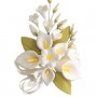 GARDENIA ASSORTITA 20 CM PZ 1