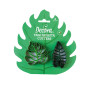 SET 2 TAGLIAPASTA FOGLIE TROPICALI