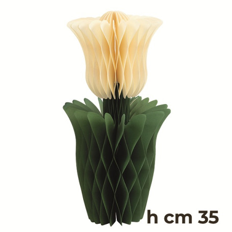 1 TULIPANO IN CARTA AVORIO 35CM